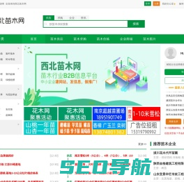 西北苗木网--苗木求购|绿化苗木价格|陕西苗木