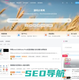 源码分享网-网站源码模板,插件资源分享平台