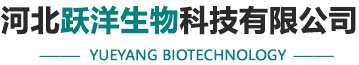 微生物菌剂,复合微生物肥料,复合微生物肥料-河北跃洋生物科技有限公司